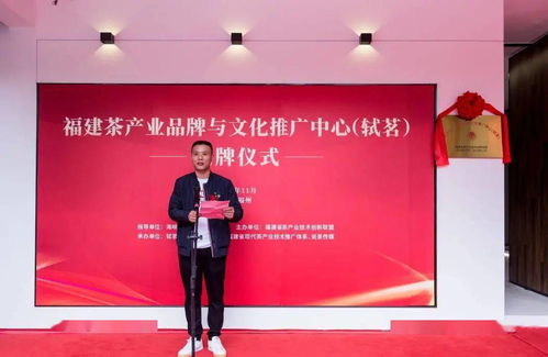 福建茶产业品牌与文化推广中心在福州揭牌，开启闽茶文化新篇章